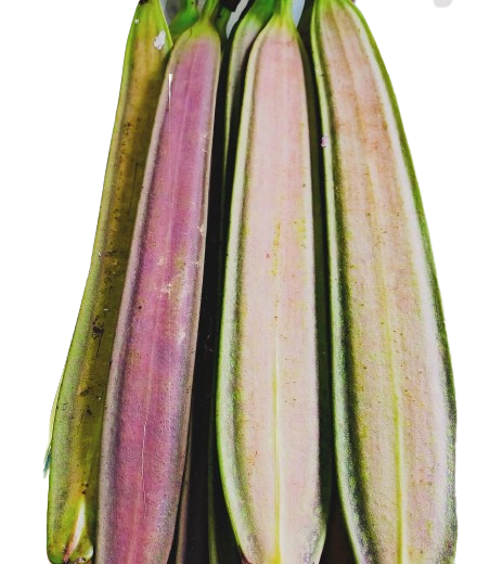 Khonai Dhinga (Hona Gulo)