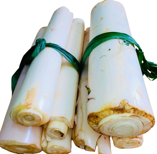 Pahari Kochi Kola Gach